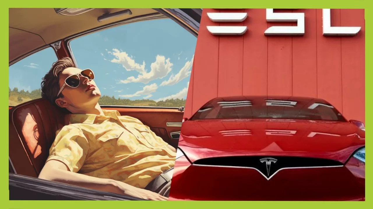 Tesla Autopilot asleep jpg