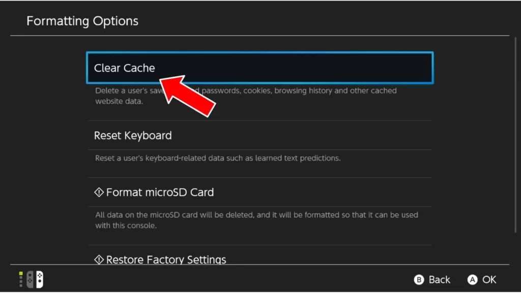 Nintendo Switch Formatting Option Clear Cache