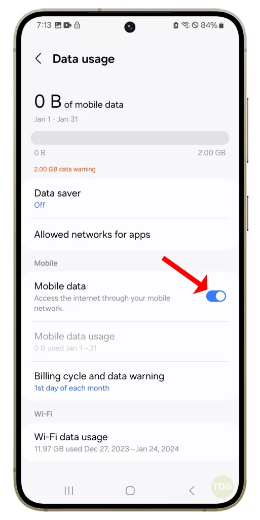 Ensure that the ‘Mobile data’ toggle is switched on.